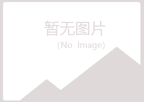 铁岭山柏房地产有限公司